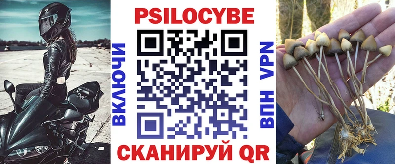 блэк спрут сайт  Ростов-на-Дону  Псилоцибиновые грибы Magic Shrooms 